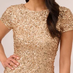 Adrianna Papell Scoop Back Sequin Gown In Champagne Gold -Cheap Vesta Gleam Store 091874600 AD298 Regular Detail