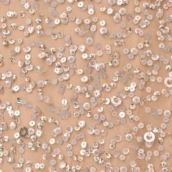 Adrianna Papell Plus Size Scoop Back Sequin Gown In Champagne -Cheap Vesta Gleam Store 091874601 CHA Plus Alternate