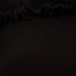 Adrianna Papell Plus Size Signature Blouson Jumpsuit In Black -Cheap Vesta Gleam Store AP1D104323 AA002 Plus Alternate