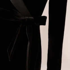 Adrianna Papell Long Sleeve Velvet Tuxedo Dress In Black -Cheap Vesta Gleam Store AP1D104349 AA002 Regular Lifestyle