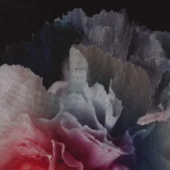 Adrianna Papell Plus Size Floral Printed Jumpsuit In Black Multi -Cheap Vesta Gleam Store AP1D104440 AA963 Plus Alternate