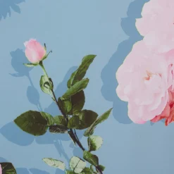 Adrianna Papell Floral Print Crepe De Chine Midi-Length Dress In Blue Multi -Cheap Vesta Gleam Store AP1D104960 AA461 Regular Alternate