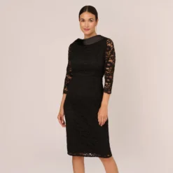 Adrianna Papell Roll Neck Lace Dress With Sheer Elbow Sleeves In Black