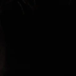 Feather Trimmed Strapless Velvet Jumpsuit In Black -Cheap Vesta Gleam Store MN1E207614 AA002 Regular Alternate